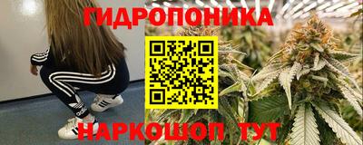 spice Коммунар
