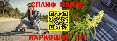Альфа ПВП Кимры