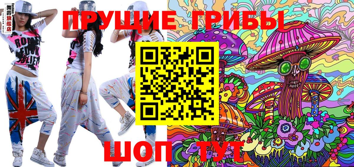 Галлюциногенные грибы Psilocybe  купить  цена  Ивантеевка  Вход с VPN  Псилоцибиновые грибы прущие грибы 